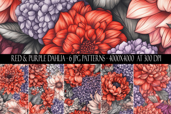 Red and Purple Dahlia Flower Patterns